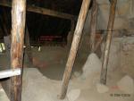Ferestrele spre exterior în formă de X  din Anexa 1 și fereastra dintre Anexa 1 și Anexa 2